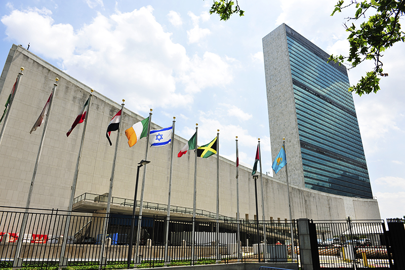 1585617030553588.jpg image_1537919083.745664.jpg